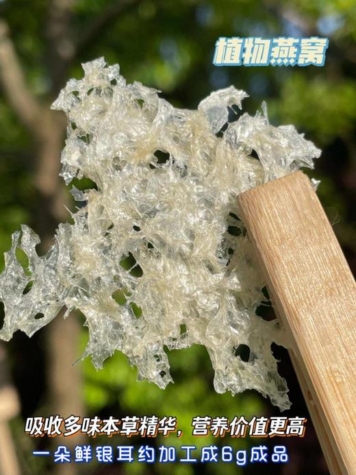 本草银耳焖烧杯套餐 商品图3