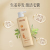 征服青蒿洗发水去屑净爽洗发乳除螨止痒控油生姜养发根防干枯洗发水 商品缩略图1
