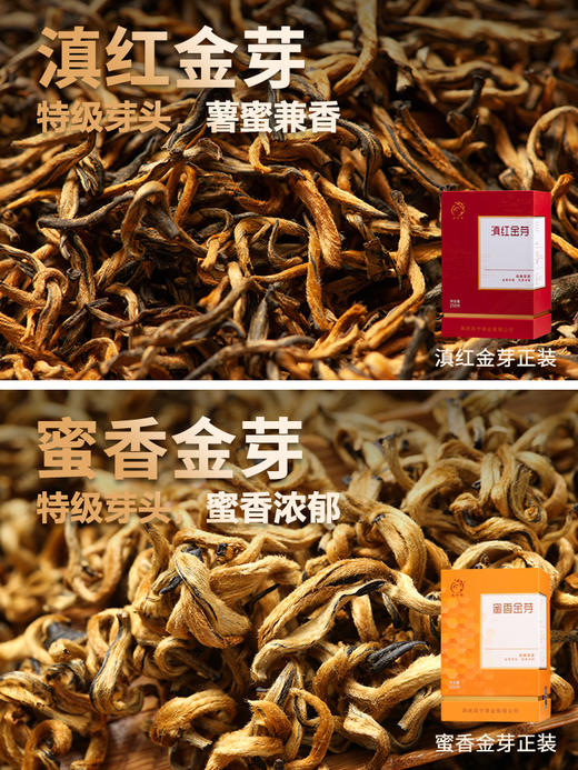 凤宁号 | 臻品茶集合12*4g（12泡） 商品图2