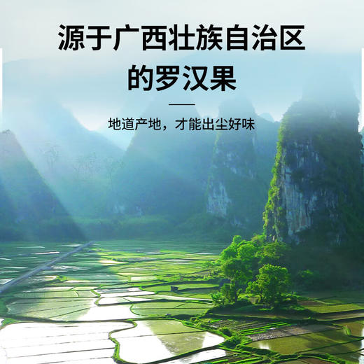 【正宗同仁堂品牌】北京同仁堂 罗汉果120g（6枚） 送礼盒 源自广西  果肉饱满 自然甘甜SY 商品图5