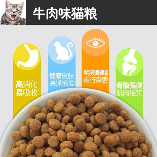 艾尔猫粮牛肉味全价成猫粮1kg增肥发腮营养美毛通用型猫粮/袋 商品图2