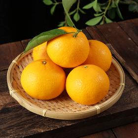 【产地直发】象山·黄美人 果肉细腻  清香酸甜