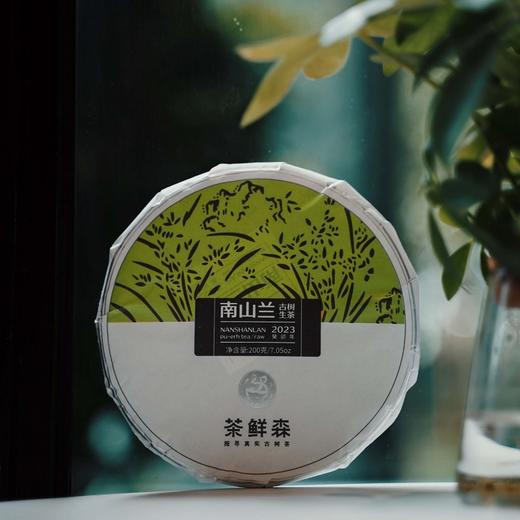 景迈山大平掌 南山兰 茶鲜森2023年头春古树生茶200g饼茶 商品图0