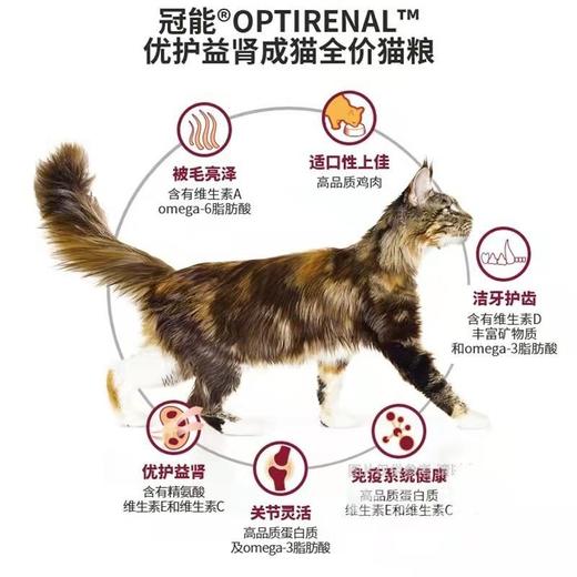 冠能猫粮优护益肾鸡肉配方成年期全价猫粮2.5kg 商品图2