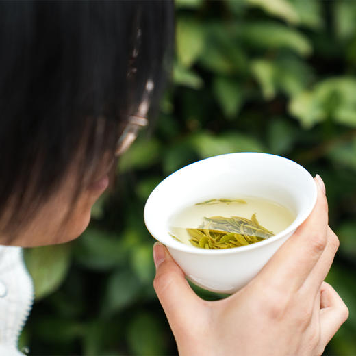 【明前龙井 观色翠绿 嗅味清香】 杭州龙井（钱塘产区）/ 西湖龙井（龙坞茶村） 商品图10