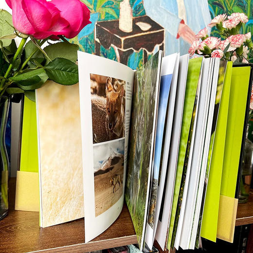 狗 汤姆·杰克逊 著 科普读物 商品图2