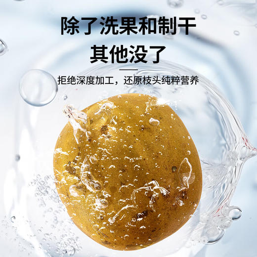 【正宗同仁堂品牌】北京同仁堂 罗汉果120g（6枚） 送礼盒 源自广西  果肉饱满 自然甘甜SY 商品图3