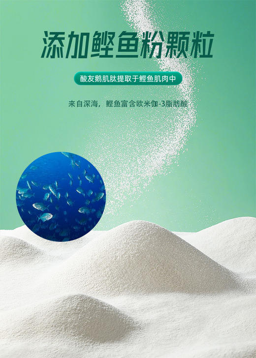 斯诺森通风舒 菊花芹菜籽提取物复合物 美国原装进口 呵护关节 商品图7