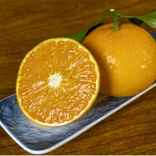 【产地直发】象山·黄美人 果肉细腻  清香酸甜 商品图4