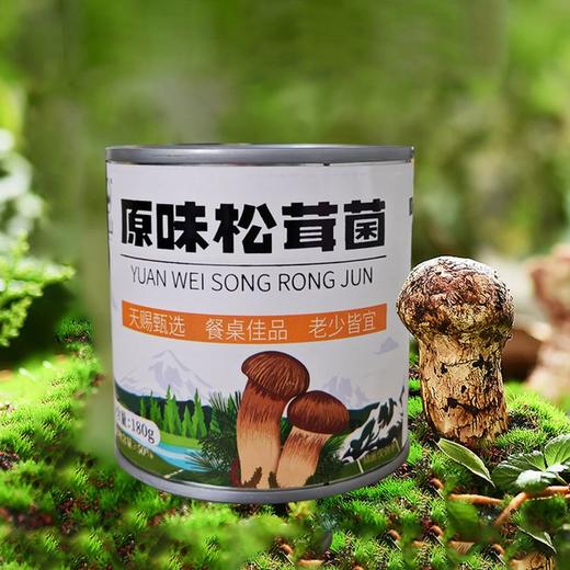 丛山牌原味松茸菌 商品图1