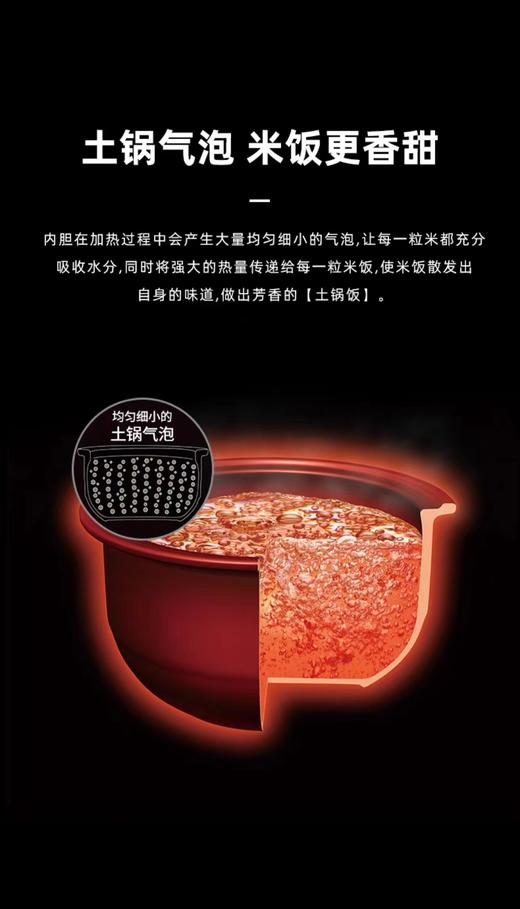 【虎牌】B7F  虎牌电饭煲JPR-A10C 商品图11