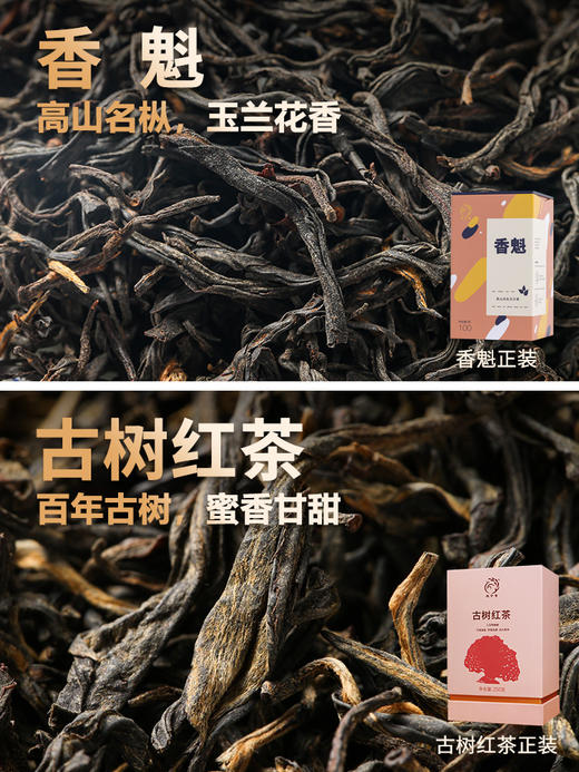 凤宁号 | 臻品茶集合12*4g（12泡） 商品图5