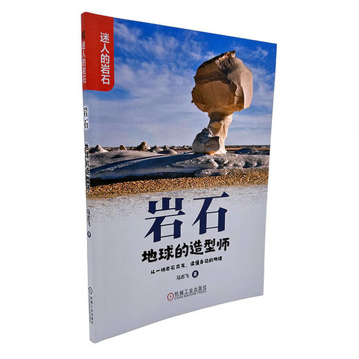 岩石 地球的日记本 商品图2