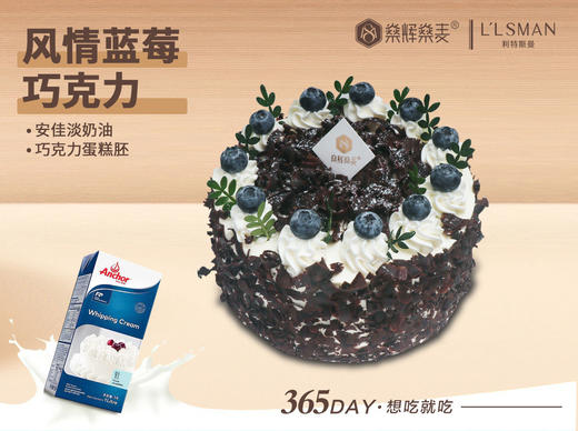 安佳动物奶油 蓝莓巧克力蛋糕 [6~8英寸 3~8人食用] 商品图0