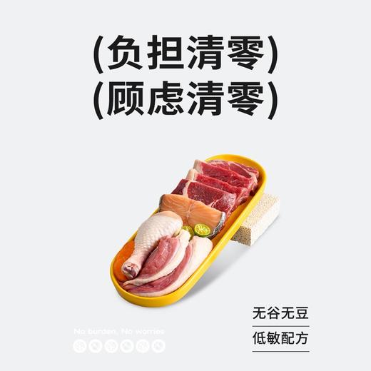 【2.0升级版】高爷家猫粮益生菌全价冻干猫粮调节肠道5kg 商品图2