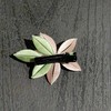 单朵古风缠花发夹（款式随机） 商品缩略图4