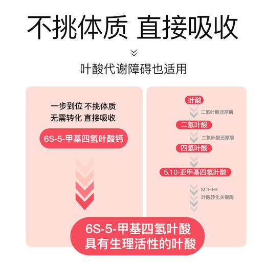 【上新】斯利安活性叶酸多维片90片 商品图3