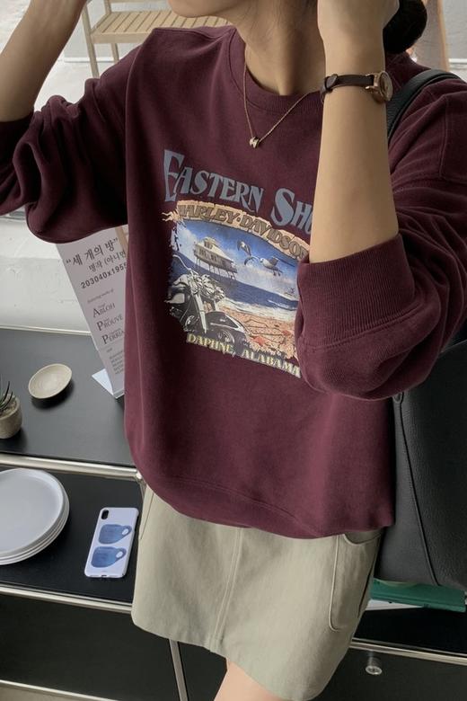 HAYES 美式复古印花卫衣 17312 商品图4