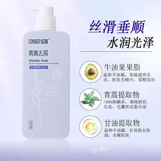 征服青蒿洗发水去屑净爽洗发乳除螨止痒控油生姜养发根防干枯洗发水 商品图2