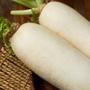 【HFS】白萝卜 2kg±180g/份 太平海农业 商品缩略图2