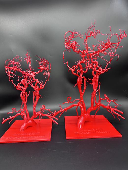 全新现货 专利产品【头颈血管模型】3.0版本重磅来袭 商品图3