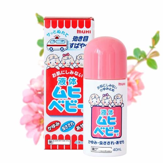 本土WBD    ZJ 商品图0