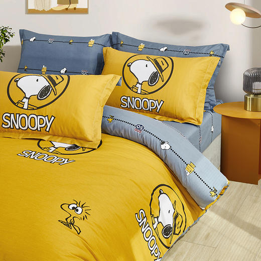 史努比·中纺鲁棉四件套（花型：奥兰多）SNJ02-2023B 商品图2