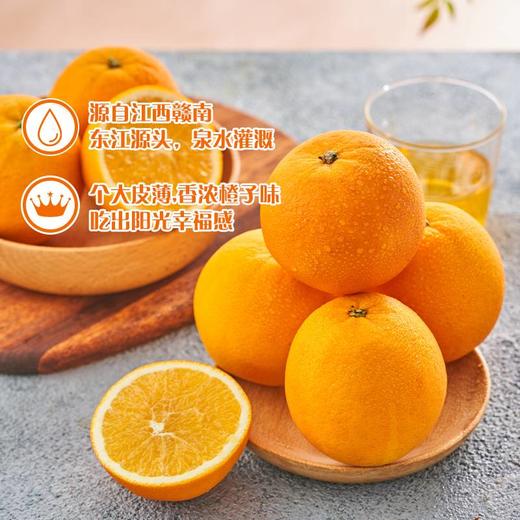 【HFS】赣南脐橙 净重5斤 礼盒装 太平海农业 商品图1
