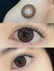 Cheoco旗下 · 日抛  R836芝麻酥&R537奶糖棕&R953微醺蓝海   14.5mm   吉林瑞尔康工厂 商品缩略图7