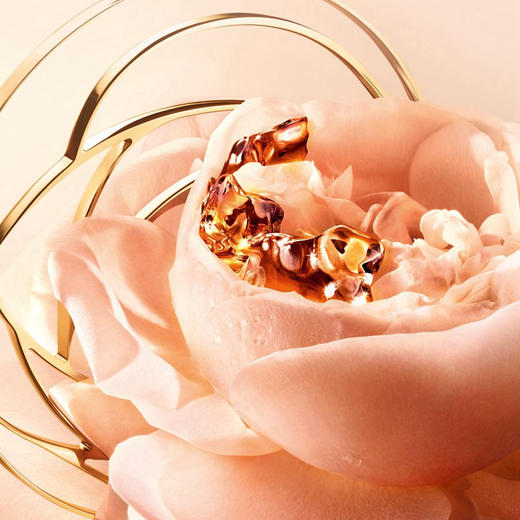 法国 LANCOME兰蔻 菁纯臻颜紧致5件套装/套盒（精粹水150ml+轻盈乳霜60ml+滋润乳霜60ml+精华30ml+眼霜20ml） 商品图3