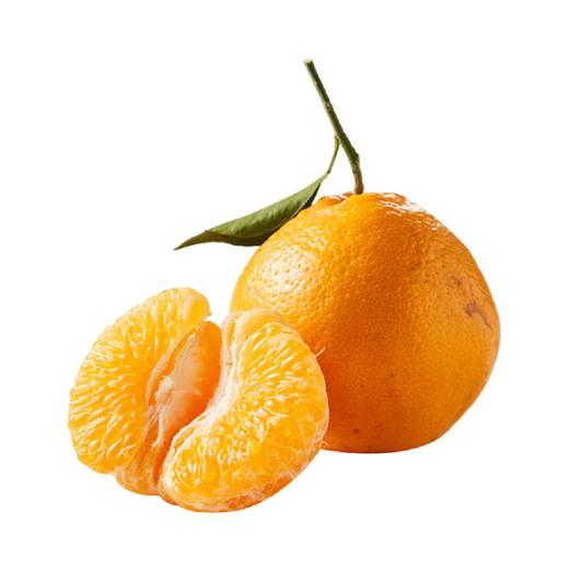 金狐狸耙耙柑(10斤装） 商品图0