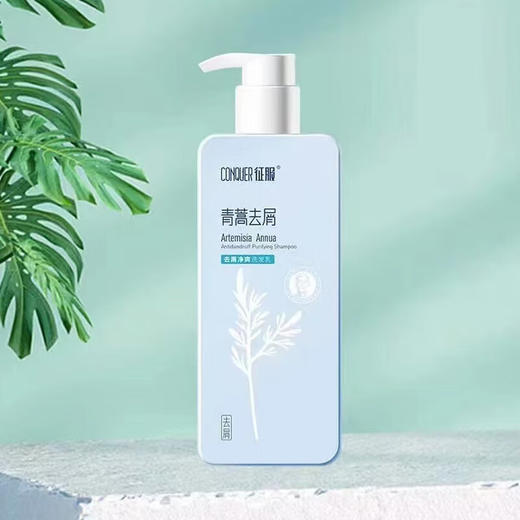 征服青蒿洗发水去屑净爽洗发乳除螨止痒控油生姜养发根防干枯洗发水 商品图5