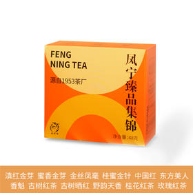 凤宁号 | 臻品茶集合12*4g（12泡）
