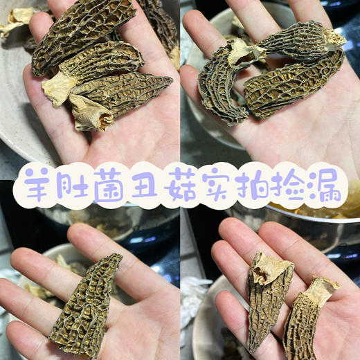 鲜珥家高海拔羊肚菌C级 野生菌干货煲汤干货50g 商品图2