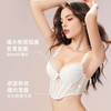 好奇蜜斯法式外穿鱼骨胸衣薄显胸小内衣性感女束身蕾丝文胸罩套装新款-玛可欣 商品缩略图3