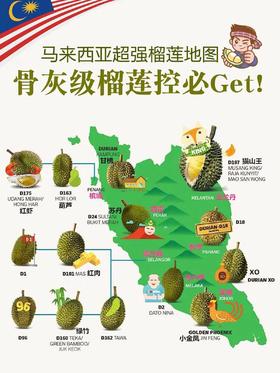马来西亚榴莲地图