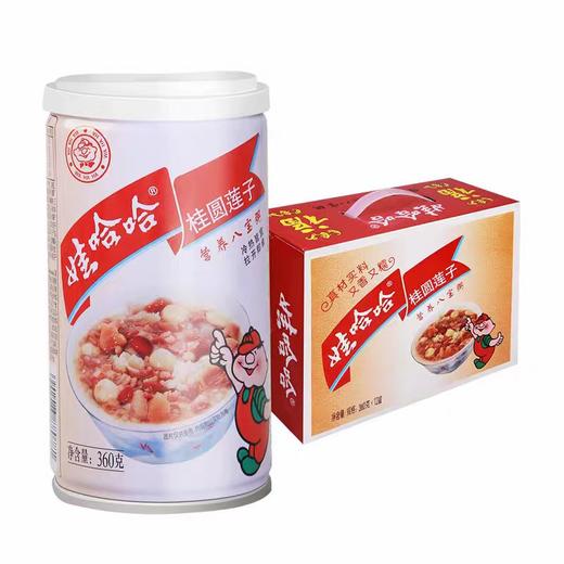 娃哈哈八宝粥360g*12罐 商品图0