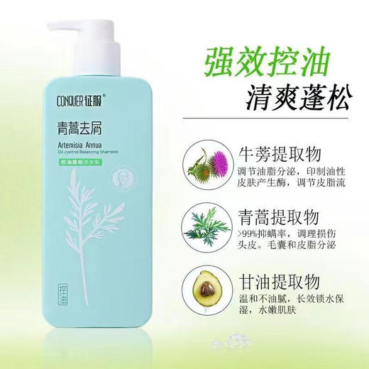 征服青蒿洗发水去屑净爽洗发乳除螨止痒控油生姜养发根防干枯洗发水 商品图0
