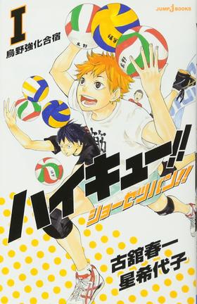 ハイキュー!! ショーセツバン!! 1~13 (JUMP j BOOKS)