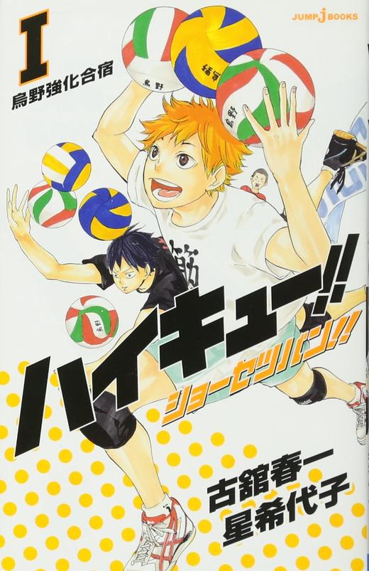 ハイキュー!! ショーセツバン!! 1~13 (JUMP j BOOKS) 商品图0