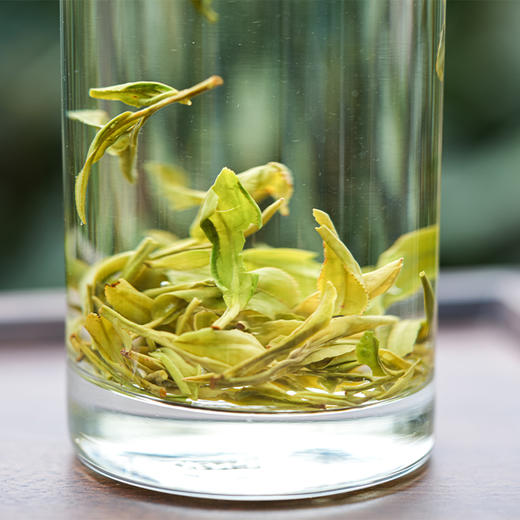 【明前龙井 观色翠绿 嗅味清香】 杭州龙井（钱塘产区）/ 西湖龙井（龙坞茶村） 商品图3