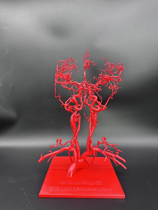 全新现货 专利产品【头颈血管模型】3.0版本重磅来袭 商品图2