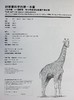 【中商原版】铅笔画新手的第一本书：3个步骤，81个范例，教你学会用铅笔画各种主题(2版) 港台艺术 华特·佛斯特等 商品缩略图8