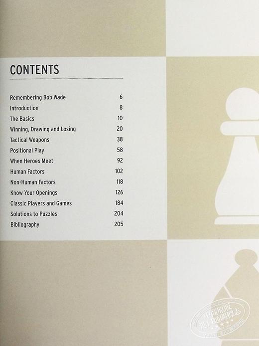 【中商原版】Batsford国际象棋 从初学者到赢家的棋步 技巧和策略 Batsfords Chess From Beginner to Winner 英文原版 Sean M 商品图5