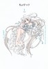CLAMP PREMIUM COLLECTION ちょびっツ(1) 人形电脑天使心 商品缩略图0