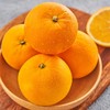 【HFS】赣南脐橙 净重5斤 礼盒装 太平海农业 商品缩略图2