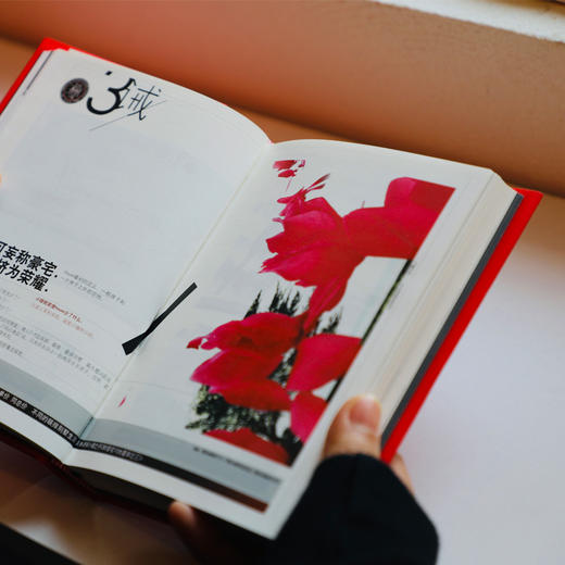 小丰广告创作系列  |  20周年纪念版礼盒，基于汉语视角的文案实操工具书，真正意义上手把手教你写文案 商品图5