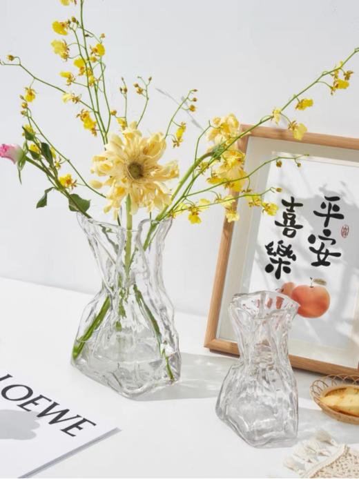 🎉出口级品质花瓶 29.96个‼ ✈️给浪漫一个归处【秋欧藤出口级品质花瓶合集】 ⚡一个玻璃花瓶能装下多少好时光💕，居家好物，赋予鲜花及家不同的浪漫故事  商品图4