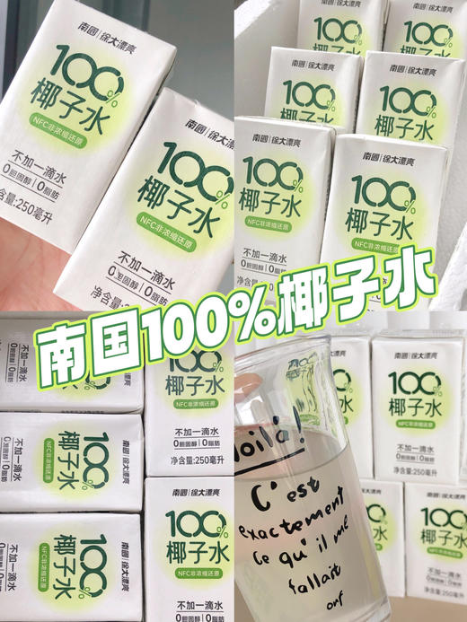 🌴【南国|徐大漂亮100%NFC纯椰子水】29.9💰到手6瓶❗采摘9年老椰清甜不浓腻🥥富含天然电解质✅ 优选东南亚进口椰青，采用无菌冷装工艺 NFC非浓缩还原 商品图1