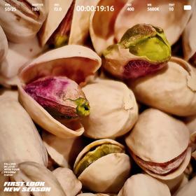 [屁侠推荐] 觅菓 A+大开心果 大颗粒美国新货 无漂白原味干果坚果 500g